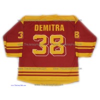HC Dukla Trencin Slovak Extraliga Hockey Jersey Pavol Demitra Dark