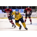 Rytiri Kladno Knights 2024-25 Czech Extraliga PRO Gold Hockey Jersey Jaromir Jagr Dark